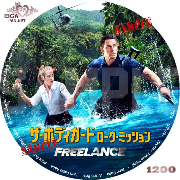 ザ・ボディガード／ローグ・ミッション　DVDラベル