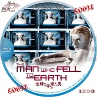 地球に落ちてきた男