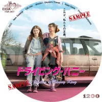 ドライビング・バニー