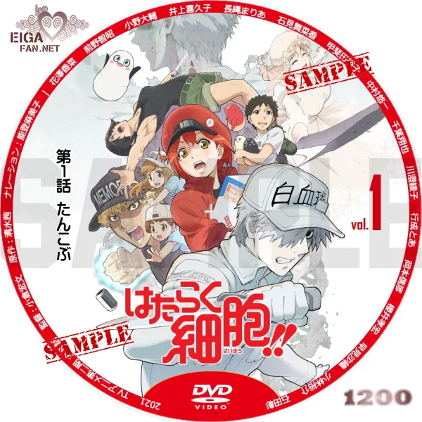 はたらく細胞!!　TVアニメ第二期のdvdラベル