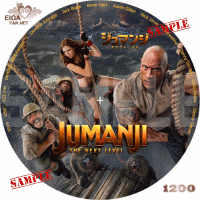 ジュマンジ／ネクスト・レベル　DVDラベル