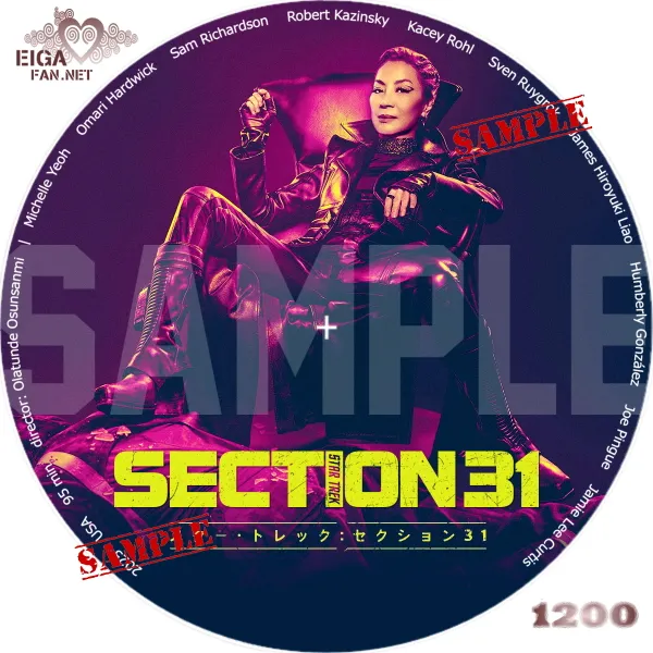 スター・トレック：セクション31　DVDラベル